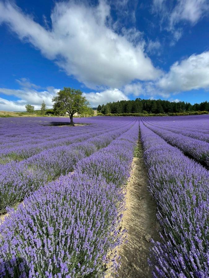 A Mont Nos Hotes 2 Mollans-sur-Ouvèze Kültér fotó